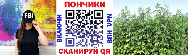 Купить закладки  Куртамыш  Канабис MAZAR 